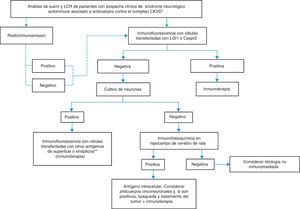 Algoritmo para el diagnóstico de pacientes con anticuerpos contra el complejo proteico que incluye los CKVD. *Síndromes clínicos descritos en la tabla 1. **NMDAR, AMPAR, GABAbR, DPPX, GlyR, otros.