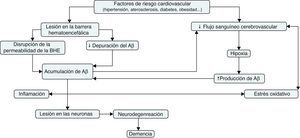 Hipótesis fisiopatológica vascular que explica la relación existente entre la enfermedad vascular y la neurodegeneración característica de la enfermedad de Alzheimer.