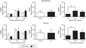 Concentración tisular del ácido γ-aminobutírico (GABA) en los hemisferios y el vermis cerebelares después del status epilepticus (SE). En el panel de la izquierda se muestra el curso temporal de la concentración de GABA después del SE. En el panel medio se presenta el efecto del tratamiento, ya sea control o SE, en la concentración tisular de GABA, independientemente del tiempo de análisis. En el panel de la derecha se indica la concentración de GABA a los diferentes tiempos de análisis considerando ambos grupos experimentales. Las barras representan la media±EEM de la concentración de glutamato (n=6 por grupo experimental). *p<0,05.