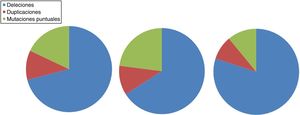Distribución de las mutaciones genéticas asociadas a DMD y BMD en población española. Adaptado de Juan-Mateu et al.25.