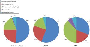 Distribución de las mutaciones puntuales asociadas a DMD y BMD en población española. Adaptado de Juan-Mateu et al.25.