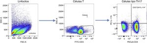 Algoritmo de análisis de citometría de flujo. Posterior a la discriminación de dobletes, las células linfoides fueron seleccionadas y las células T fueron identificadas con base en la expresión de CD3. La frecuencia de células T CD4+ productoras de IL-17A fue cuantificada. Las ventanas fueron ajustadas por medio de los controles FMO. Los datos se presentan como frecuencias celulares (%).