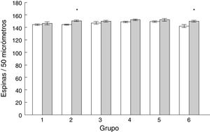 Densidad de espinas dendríticas en las células de Purkinje de la corteza del lóbulo paramediano cerebelar de los animales entrenados (barras grises) y de los animales control (barras blancas). Media ± EEM. La significación estadística (asteriscos) se fijó en una p < 0,05.