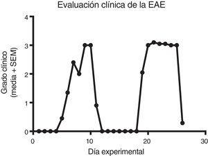 Establecimiento del modelo de EAE recaída-remisión inducido con homogenado de inducción en ratas adultas Sprague Dawley. El grado 3 es el grado clínico máximo que desarrollan los animales inducidos. EAE: encefalitis autoinmune experimental; SEM: error estándar de la media.