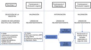 Cronograma del estudio.