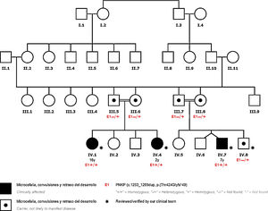 Árbol genealógico.