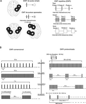 A) Esquema iconográfico de las modalidades de aplicación de la EMT: pulsos simples, pulsos pareados en una o dos áreas corticales diferentes del cerebro y EMTr (lenta [de baja frecuencia] ≤1Hz y rápida [de alta frecuencia] ≥5Hz). EMT: estimulación magnética transcraneal; EMTr: estimulación magnética transcraneal repetitiva; ®: respuesta. Adaptada de Pascual-Leone y Tormos-Muñoz2. B) Panel izquierdo (EMTr convencional [aplicación de pulsos únicos de EMT repetidos regularmente]). Desde la parte superior: ejemplos de 10s de EMTr a 1Hz (primer trazado) y a 5Hz (segundo trazado); 1s de EMTr a 10Hz y ejemplo típico de aplicación de EMTr a 20Hz para fines terapéuticos (trenes de 2s entrelazados por una pausa de 28s). Panel derecho (EMTr protocolizada [aplicación repetitiva de ráfagas cortas de EMTr a una frecuencia interna alta intercalada por breves pausas sin estimulación]). Desde la parte superior: 20s de ERTc (primer trazado); ERTi (segundo trazado) y ERTim (tercer trazado). El cuarto trazado representa protocolos de ECP. ECP: estimulación de cuádruple pulso; ERT: estimulación de ráfagas theta; ERTc: estimulación de ráfagas theta continua; ERTi: estimulación de ráfagas theta intermitente; ERTim: estimulación de ráfagas theta intermedia; IIE: intervalos interestímulo. Adaptada de Rossi et al.5.