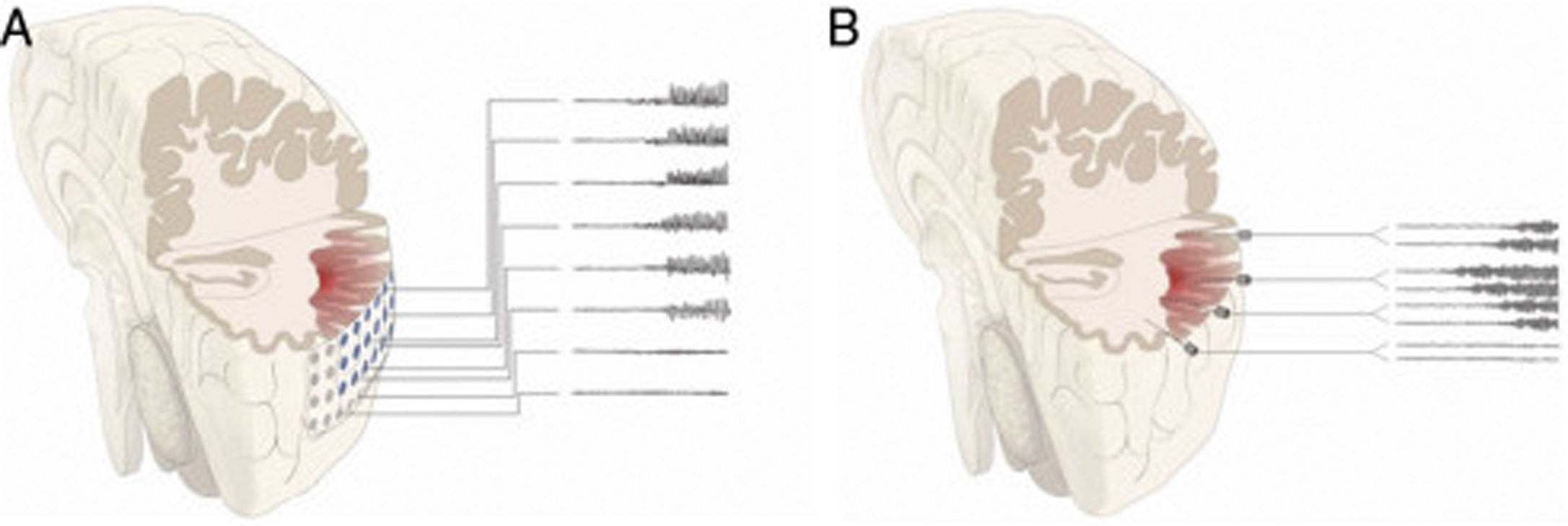 fig0010