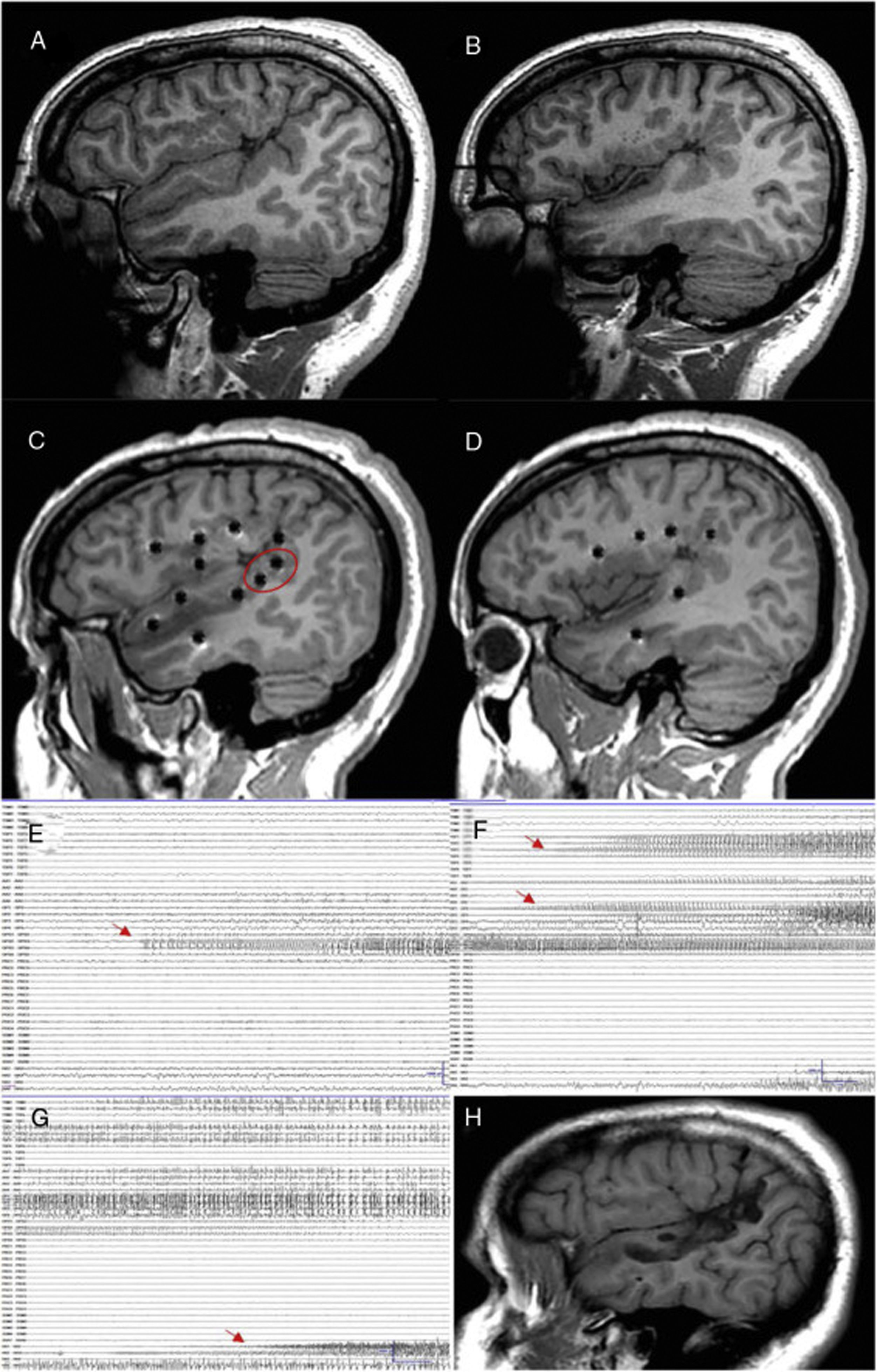 fig0020