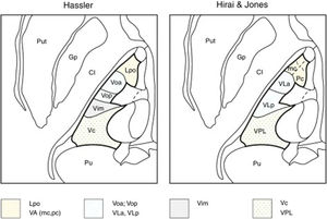 Representación de las nomenclaturas del tálamo motor. Se ilustra la nomenclatura según Hassler (izquierda) y Hirai & Jones (derecha) en el plano axial. Nótese cómo difiere la denominación de los núcleos dentro de una misma región anatómica: Lpo y VA (punteado); Voa, Vop, VLa y VLp (rayas); Vim (gris); Vc y VPL (cruces). Gp: Globus pallidus; Lpo: Lateropolaris;VA: Ventral anterior (mc: pars magnocelularis; pc: pars parvocelularis);VC: Ventro Caudalis; Vim: Ventralis intermedius; VLa: Ventral Lateral anterior; VLp: Ventral Lateral posterior; Voa: Ventralis oralis anterior; Vop: Ventralis oralis posterior; VPL: Ventral Posterior Lateral.