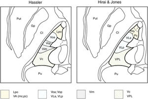 Representación de las nomenclaturas del tálamo motor. Se ilustra la nomenclatura según Hassler (izquierda) y Hirai & Jones (derecha) en el plano axial. Nótese cómo difiere la denominación de los núcleos dentro de una misma región anatómica: Lpo y VA (punteado); Voa, Vop, VLa y VLp (rayas); Vim (gris); Vc y VPL (cruces). Gp: Globus pallidus; Lpo: Lateropolaris;VA: Ventral anterior (mc: pars magnocelularis; pc: pars parvocelularis);VC: Ventro Caudalis; Vim: Ventralis intermedius; VLa: Ventral Lateral anterior; VLp: Ventral Lateral posterior; Voa: Ventralis oralis anterior; Vop: Ventralis oralis posterior; VPL: Ventral Posterior Lateral.
