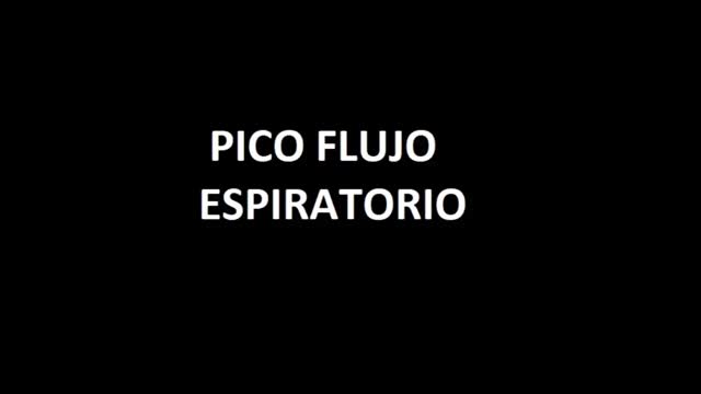 https://ars.els-cdn.com/content/image/1-s2.0-S0213485320304321-mmc1.mp4