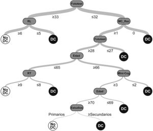 Modelo del árbol aleatorio de decisión DC: deterioro cognitivo; MC_Rec: puntuación del recuerdo en el Mini-Cog; NoDC: no deterioro cognitivo; RL: puntuación de recuerdo libre en el Fototest; RT: puntuación de recuerdo total en el Fototest.