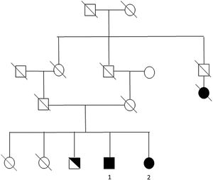 Árbol genealógico familiar. Sombreado en negro los afectados. En la figura se señalan los pacientes (1 y 2). En blanco/negro hermano portador no sintomático.
