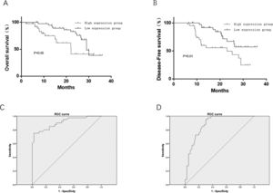 Effect of HAS2-AS1 expression on OS and PFS in glioma patients and corresponding prognostic value. The (A) OS and (B) PFS of patients with high HAS2-AS1 expression were compared with those of patients with low expression; the predictive value of HAS2-AS1 expression in (C) OS (sensitivity of 75%, specificity of 97.5%) and (D) PFS (sensitivity of 95%, specificity of 85%) of glioma patients.