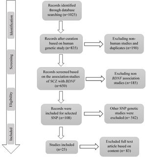 Study flow diagram.