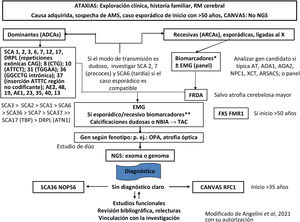 Diagrama de flujo del diagnóstico genético de las ataxias. AMS: atrofia multisistémica; AOA1: ataxia con apraxia oculomotora de tipo 1; AOA2: ataxia con apraxia oculomotora de tipo 2; ARSACS: ataxia espástica autosómica recesiva de Charlevoix-Saguenay; AT: ataxia-telangiectasia; ATN1: atrofina 1; CAG: citosina-adenina-guanina; CANVAS: ataxia cerebelosa, neuropatía, síndrome de arreflexia vestibular; DRPLA: atrofia dentato-rubro-pálido-luysiana; EMG: electromiograma; FRDA: ataxia de Friedreich; IRM: resonancia magnética; NBIA: neurodegeneración con acumulación de hierro en el cerebro; NGS: secuenciación masiva; NOP56: proteína nucleolar 56 (SCA36); NPC1: Niemann-Pick tipo C1; OPA: atrofia óptica; RFC1: subunidad C del factor de replicación (CANVAS); RMF1: retraso mental por cromosoma X frágil 1 (FXS); SCA: ataxia espinocerebelosa; TBP: proteína de unión a caja TATA (SCA17); TC: tomografía computarizada; XCT: cerebrotendinosis xantomatosa. * Biomarcadores 1: vitamina E, cobre y ceruloplasmina, alfa-fetoproteína, albúmina, hexosaminidasas, ácido fitánico, pristánico, ácidos grasos de cadena muy larga, homocisteína, colesterol, colestanol, Lyso SM509, creatina fosfoquinasa, gonadotropinas; acantocitos; Glut1-metaglut. ** Biomarcadores 2: en ayunas, lactatos, piruvatos, cromatografía de aminoácidos plasmáticos (CAAp), cromatografía de ácidos orgánicos urinarios (UAC), coenzima Q10, ubiquinona.