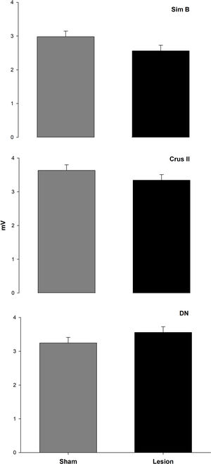 The amplitude of MUA (mV) of the lobe Sim B, Crus II and DN of the cerebellar hemisphere for the sham and lesion group during JTMs, n=6, bars connected by different letters show a significant difference, P<0.0001.