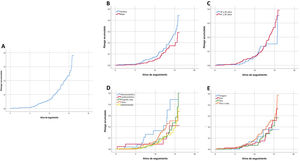 Curvas de riesgo de recurrencia acumulada para el global de la muestra durante el periodo de seguimiento (A), distribuida por sexo (B), grupo etario (C), etiología de evento cerebrovascular (D) y número de factores de riesgo vascular (E)
