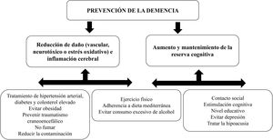Posibles mecanismos cerebrales para estrategias preventivas en la demencia (adapatado de Livignston G et al., The Lancet Comissions, 2020).