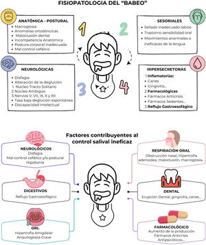 Fisiopatología y factores agravantes del «babeo».