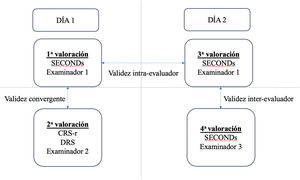 Procedimiento de validación. Escala de recuperación del coma revisada (CRS-R), evaluación simplificada de los trastornos de la conciencia (SECONDs) y escala de valoración de la discapacidad (DRS).