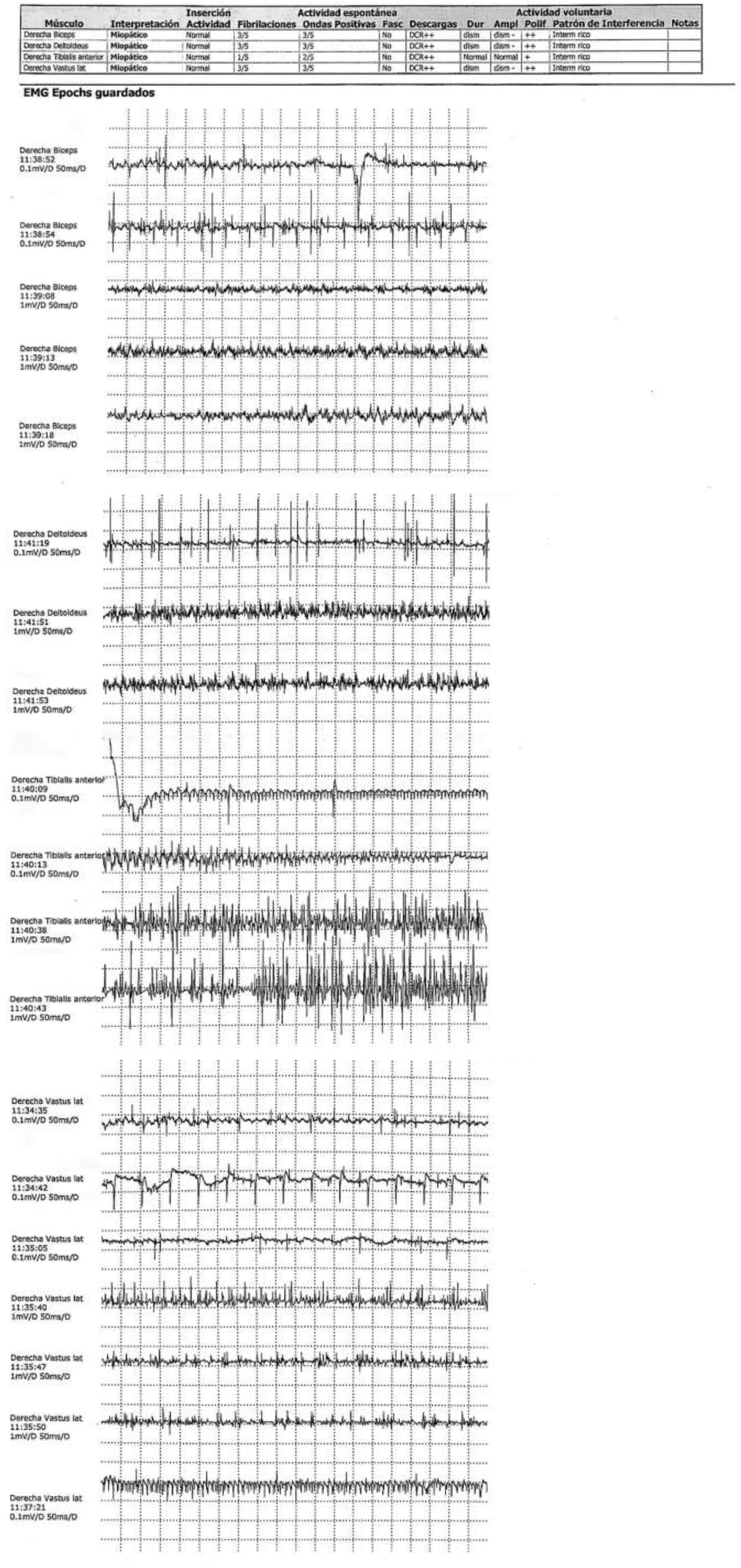 fig0005