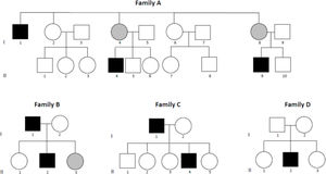 Pedigree of the 4 independent Spanish families carrying the CACNA1S p.R528H mutation. Symptomatic carriers are represented as solid black symbols and asymptomatic carriers as solid gray symbols.