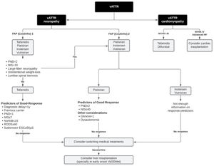 Proposed vATTR treatment algorithm. Adapted from Adams et al.30 ESC: electrochemical skin conductance; FAP: familial amyloid polyneuropathy; HF: heart failure; NIS: Neuropathy Impairment Score; Norfolk QOL-DN: Norfolk Quality of Life-Diabetic Neuropathy scale; NYHA: New York Heart Association Functional Classification; PND: Polyneuropathy Disability score; RODS: Rasch-built Overall Disability Score; vATTR: hereditary transthyretin amyloidosis.