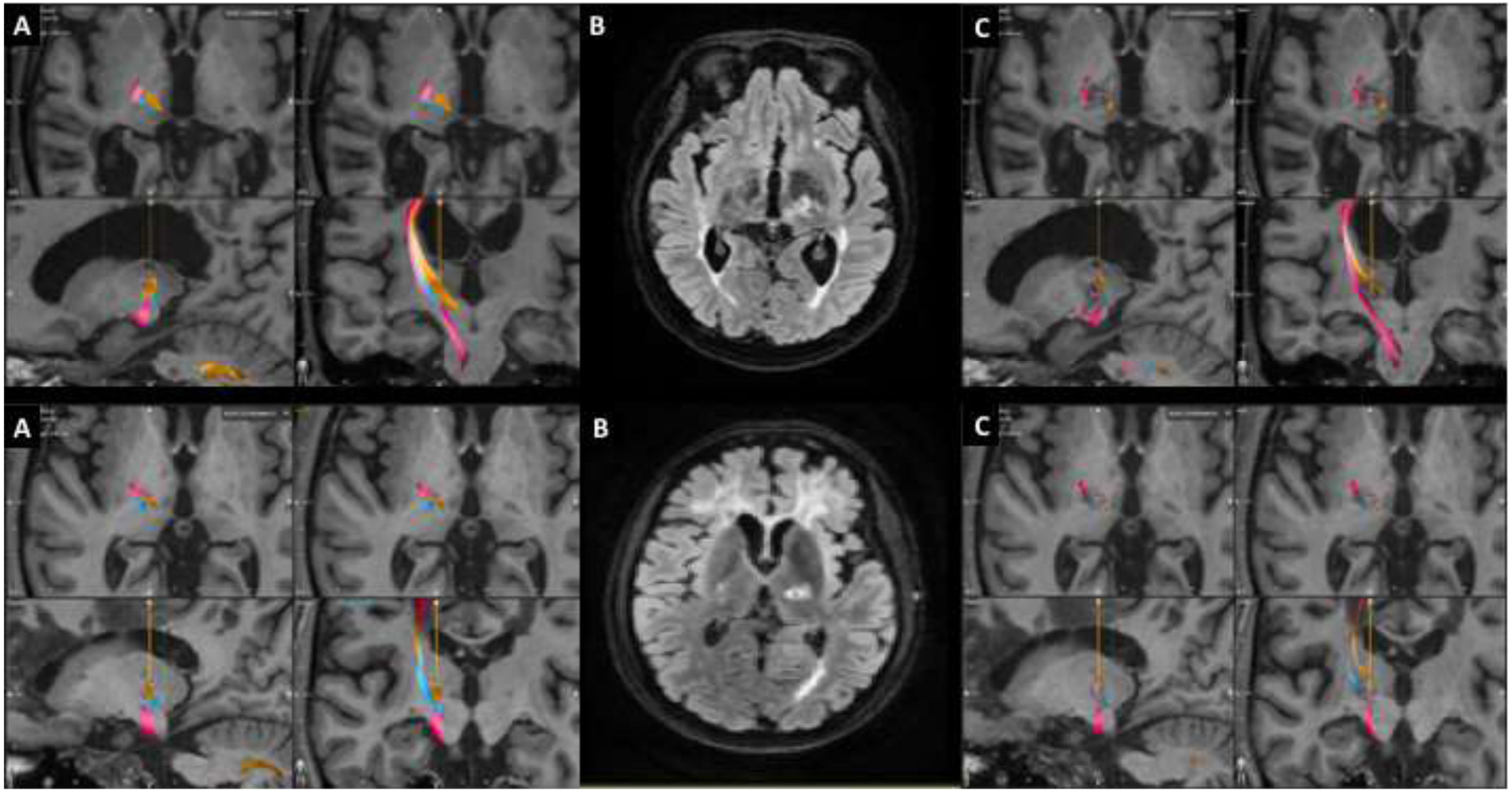 fig0005