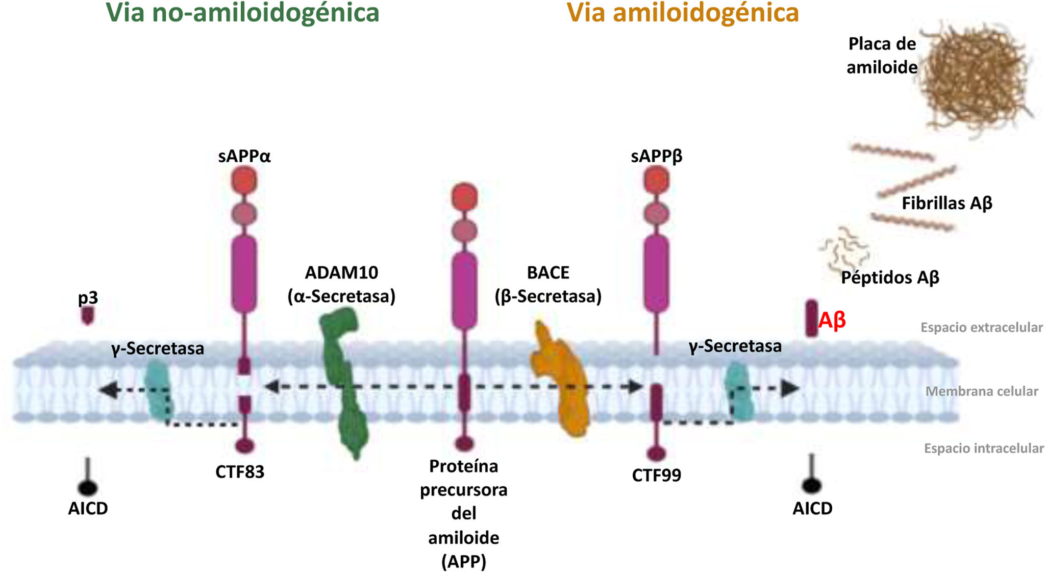 fig0005