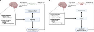 Proposed physiopathology of auditory hallucinations. (A) Predictive brain modeling and processing of inner speech in a healthy person depends on agency and interoception. Brain areas associated with speech perception and production generate an internal dialogue that is processed as inner speech thanks to self-agency, which depends on interoception. Inner speech (bottom-up) is compared with brain-generated predictions (top-down), based on past experiences and beliefs, to create perception. (B) The lack of self-agency and introspection in FND results in failure to recognize the internal dialogue as having been produced by the patient, with the inner dialogue being perceived as having come from somebody else (auditory hallucination). Bottom-up information does not match top-down predictions, creating a perception error.