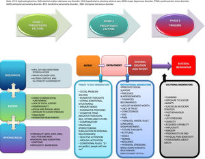 Unified theoretical model of suicidal behaviour.