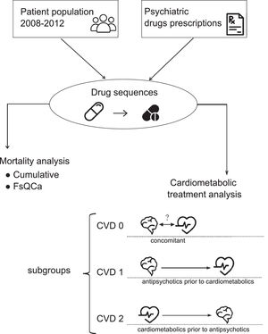 Flowchart of the study design.
