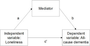 Mediation model.
