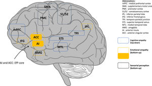 Main cerebral structures involved in EfP.