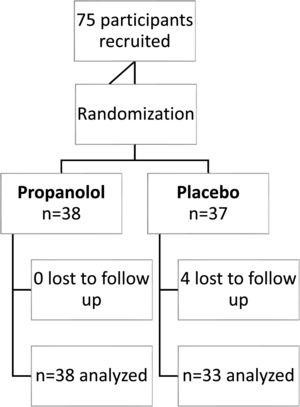 Flow chart of participants.