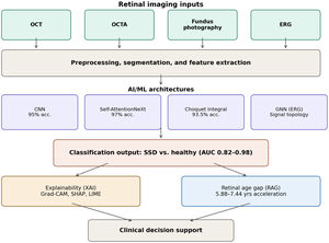 Overview of the AI/ML pipeline for retinal biomarker analysis in SSD. Retinal imaging inputs (OCT, OCTA, fundus photography, ERG) undergo preprocessing before processing by specialised deep learning architectures such as Convolutional neural networks (CNNs), Graph neural networks (GNN) and others. Classification outputs are interpreted through explainable AI methods and the Retinal Age Gap metric.