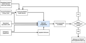 Referral and admission pathway to the PREGAP programme.