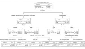 Árbol de segmentación para los factores predictores de la autovaloración de la salud.
