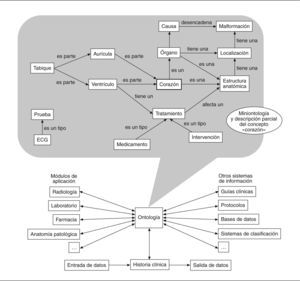 Descripción parcial del concepto «corazón», en una ontología compartida por un sistema de información.