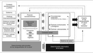 Marco conceptual de los determinantes sociales de la salud. Comisión de Determinantes Sociales de la Organización Mundial de la Salud.