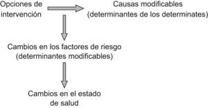 Marco conceptual para la evaluación del impacto en la salud. (Adaptada de Joffe y Mindell12.)