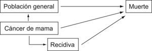 Modelo de estudio. A partir de las características de la población en estudio se reconstruye la supervivencia esperada en condiciones normales.