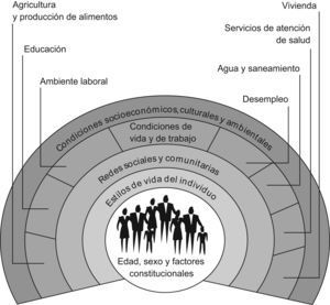 Modelo socioeconómico de salud de Dalghren y Whitehead.