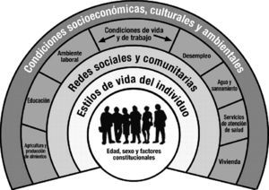 Modelo de determinantes de la salud, según Dahlgren y Whitehead5.
