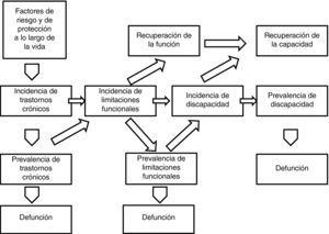 Dinámica del proceso de discapacidad en una población de personas mayores.