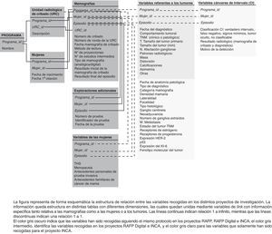Estructura de relación entre las variables recogidas en los proyectos de investigación en cribado (RAFP, RAFP Digital e INCA).