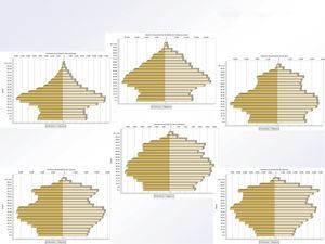 Ejemplo de variabilidad de la estructura demográdica de la población en diversas Áreas Sanitarias- BD de SIAP 2009. Fuente: Sistema de Información de Atención Primaria (SIAP), Instituto de Información Sanitaria, Ministerio de Salud, Política Social e lgualdad.