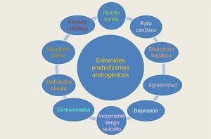 Efectos adversos principales descritos en la literatura científica de los esteroides anabolizantes androgénicos cuando se usan sin fines terapéuticos.